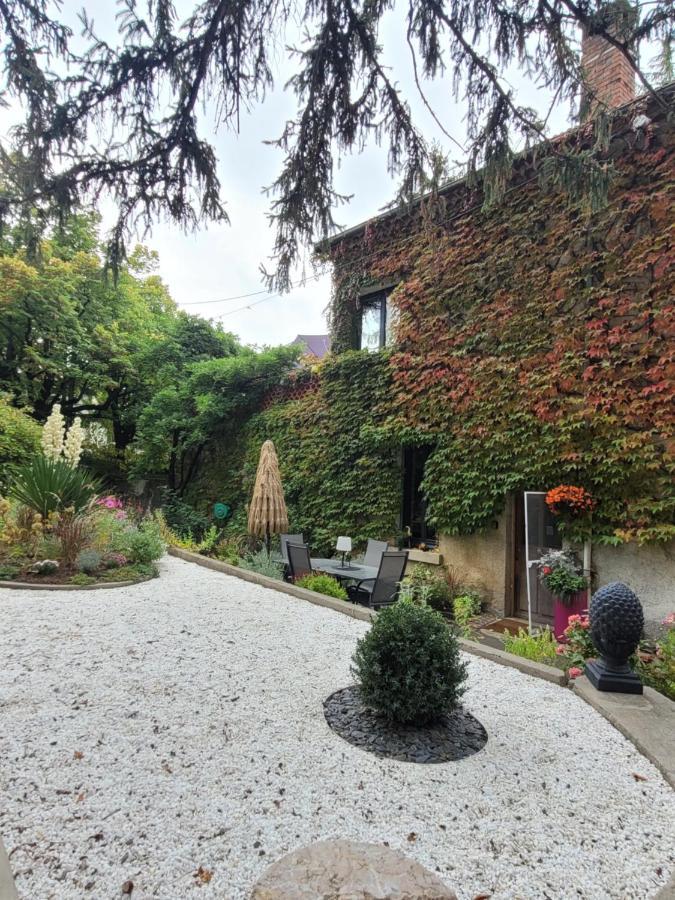 La Reyniere Bed & Breakfast Сер Екстериор снимка